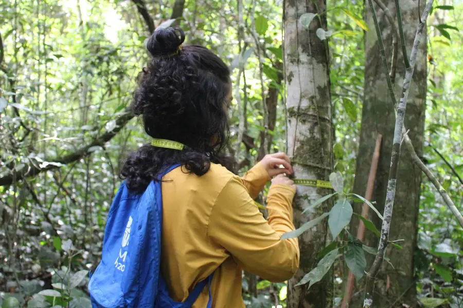 Plantio de mudas em área em recuperação, trabalho de campo da EcoGeo