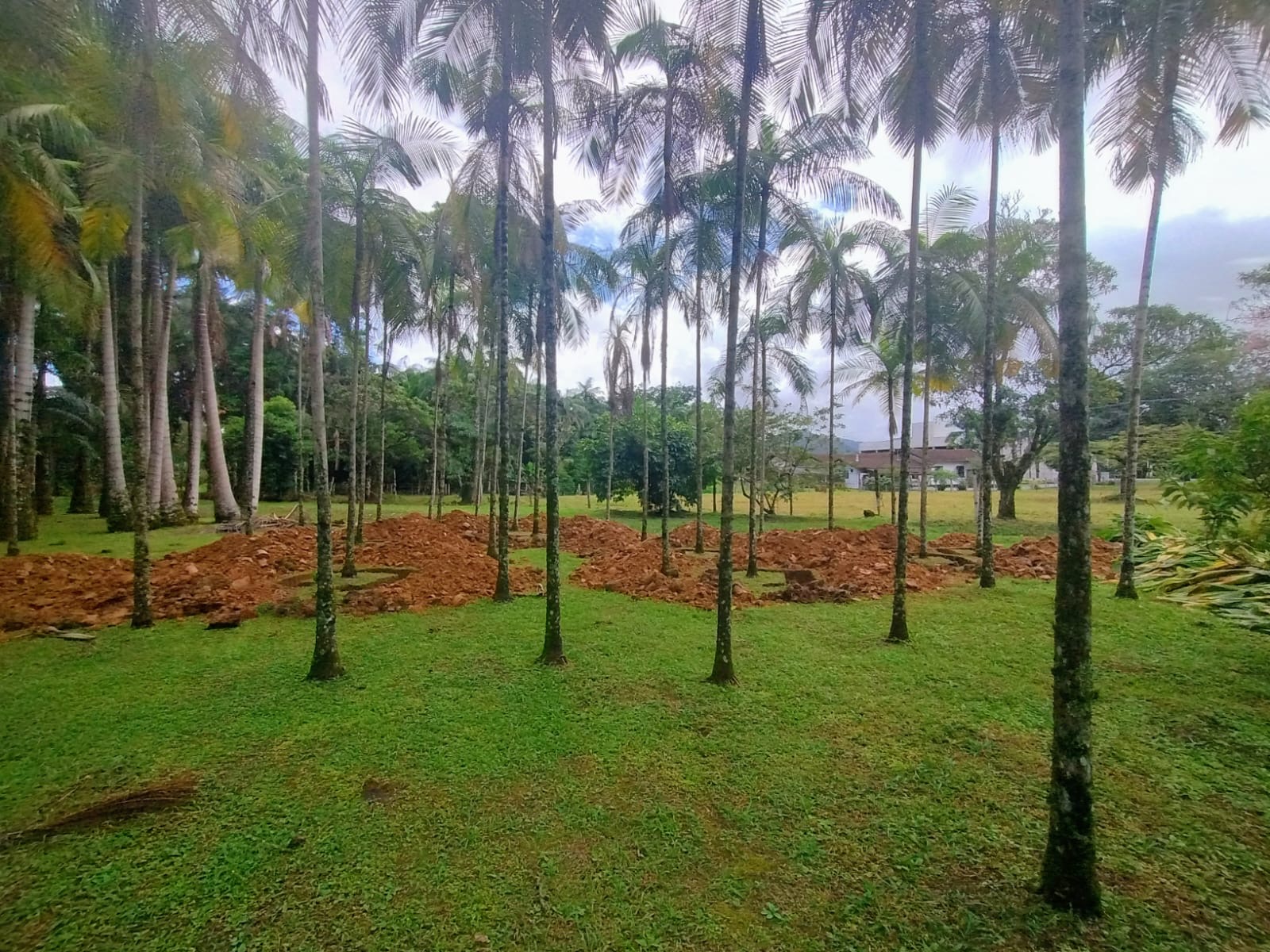 Drenagem em área rural