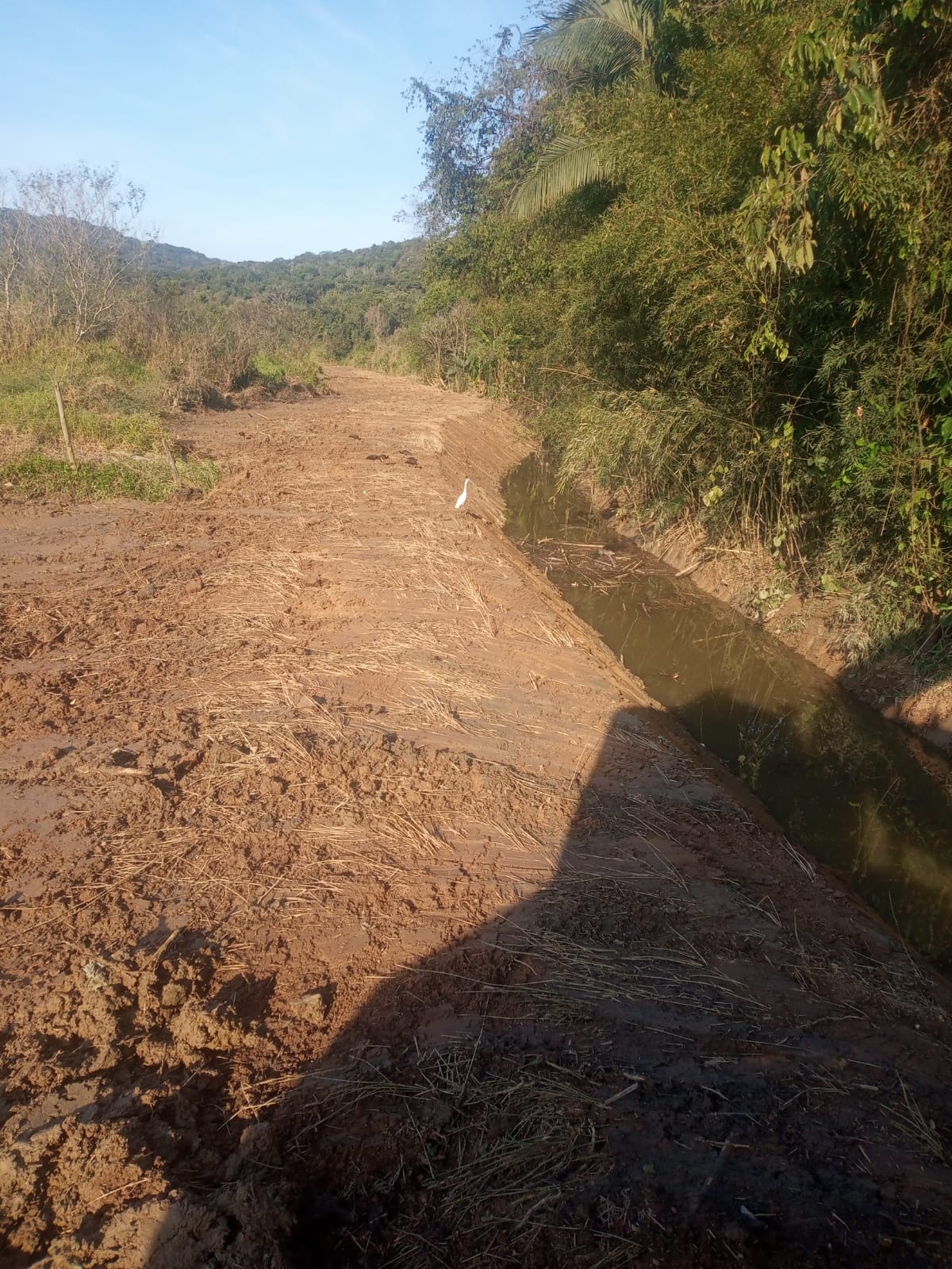 Intervenção em área verde