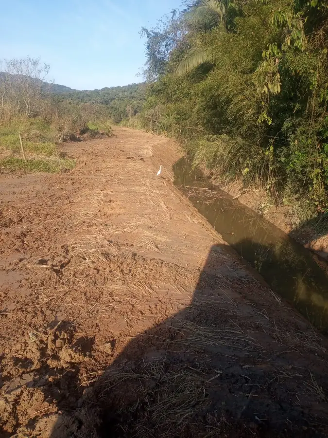 Solo exposto coberto com palha ao lado de canal de drenagem, em área com vegetação nativa na borda